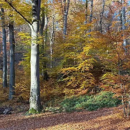 Pilisszentlaszloi Turistaszallas * Pilisszentlaszlo