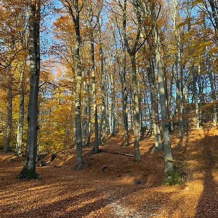 Pilisszentlaszloi Turistaszallas Pilisszentlaszlo