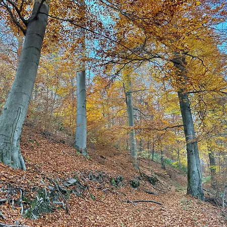 Pilisszentlaszloi Turistaszallas
